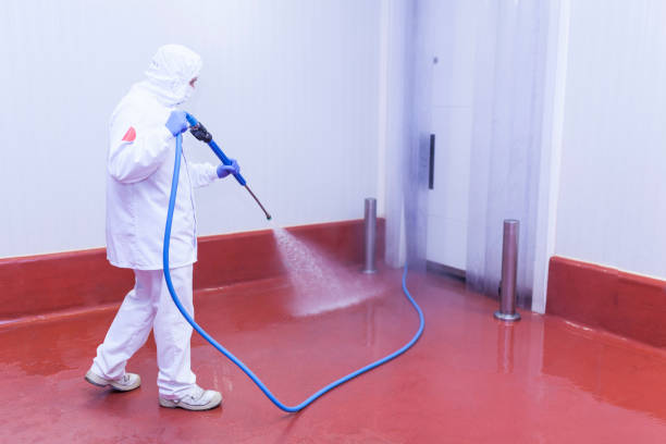 Best Spring Cleaning  in Iola, WI