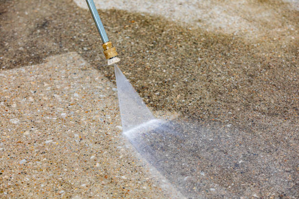 Best Animal Enclosure Cleaning  in Iola, WI