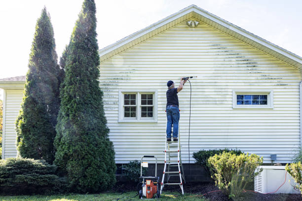 Pre-Holiday Cleaning in Iola, WI